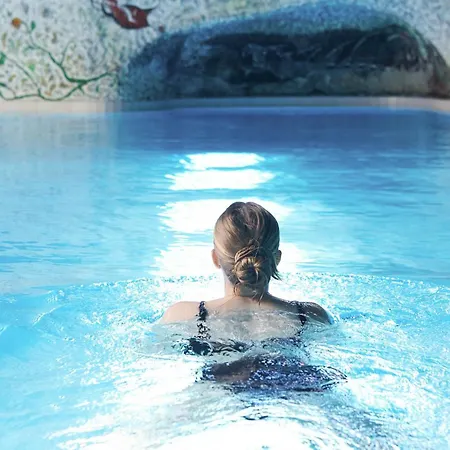 Alex Alpine Resort - Spa & Sports-3